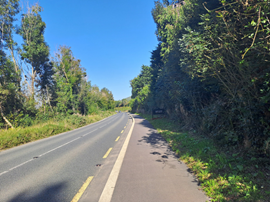 Rathnew to Glenealy